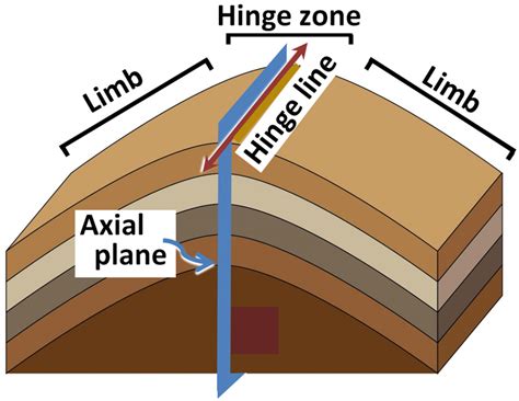 The Fold .